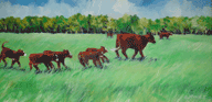 Poole Calves
